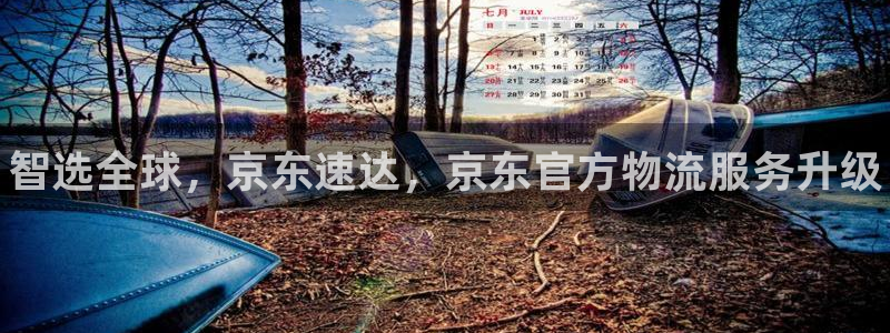 28圈是正规软件吗：智选全球，京东速达，京东官方物流服务升级