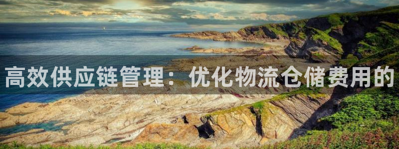 28圈下载体育:高效供应链管理:优化