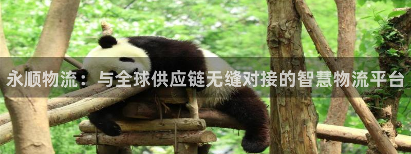 28圈注册条件：永顺物流：与全球供应