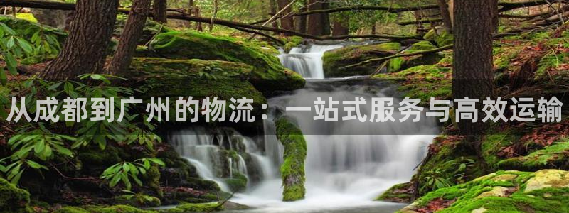 28圈pg麻将胡了2老是空转：从成都