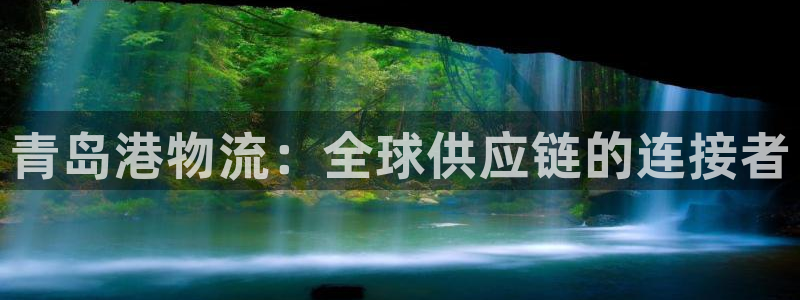 28圈充值不到账什么原因：青岛港物流