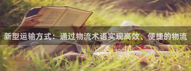 28圈v6能卖多少:新型运输方式:通